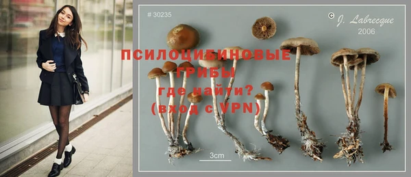 ECSTASY Гусиноозёрск