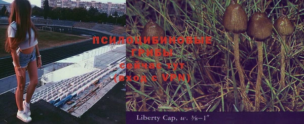 ECSTASY Гусиноозёрск
