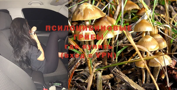 а пвп мука Гусев