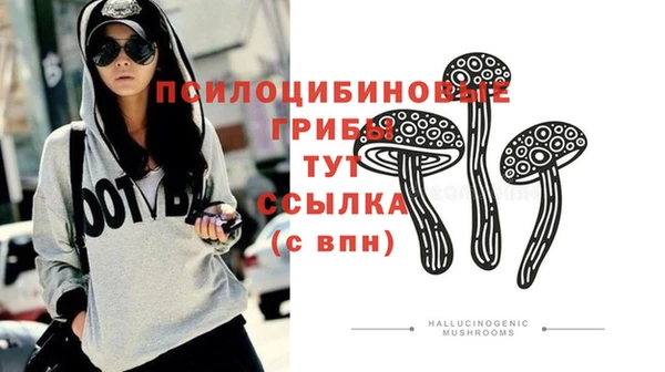 ECSTASY Гусиноозёрск