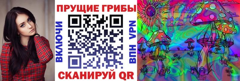 Псилоцибиновые грибы Psilocybine cubensis  Ефремов 
