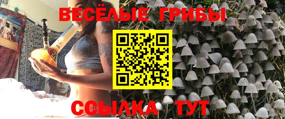 Галлюциногенные грибы Psilocybine cubensis Ефремов